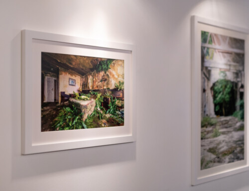 Solo Show with CHARLIE SMITH LONDON
