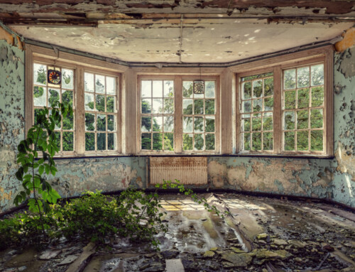 District Asylum