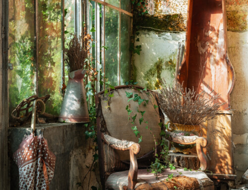 Jardin D’hiver